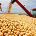 再下單10船  中國持續購入美大豆