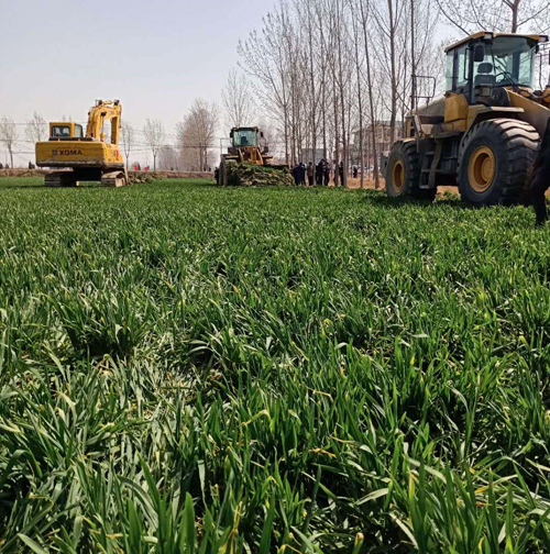 山东鄄城:土地流转应规范有序 代替农民作主不可取