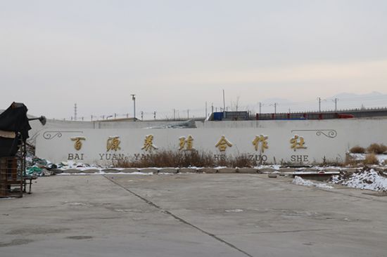 酒泉肅州區：牛羊交易亂象何時休？