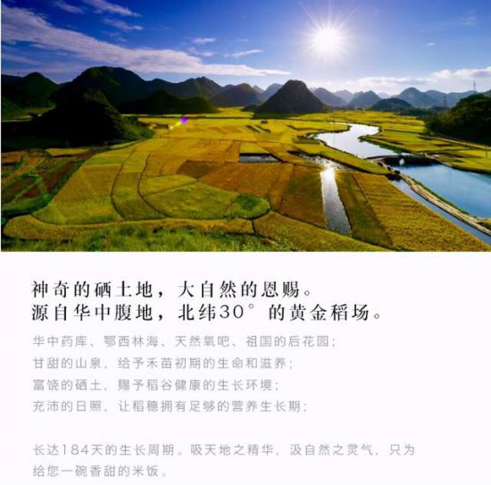 康年華《硒都米鋪》 健康的「硒」望