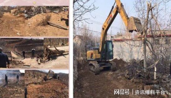 山東泰安：村書記「濫伐林木」終止調查，村民表態繼續維權