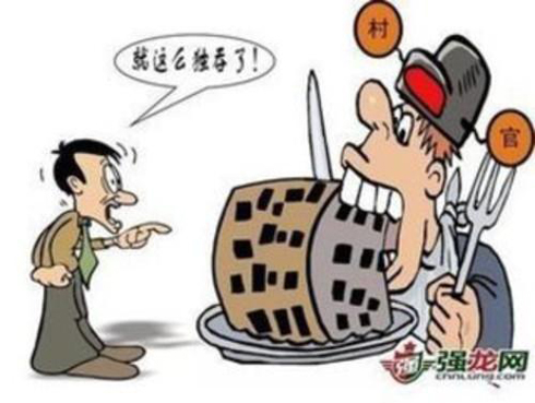 村官被指欺上瞞下，控制村民土地承包經營權