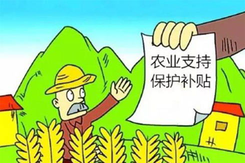 推動惠農政策落實落地，維護群眾切身利益