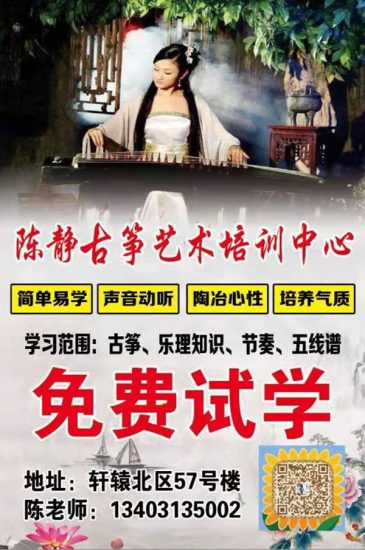 河北鑫雅箏社創始人——陳靜