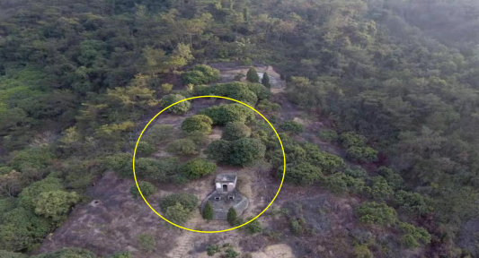 市民舉報毀林建墓行為，相關部門為逃避追責回復稱：在公辦