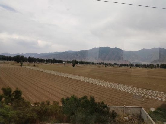 山西天鎮縣村支書楊順義違法亂紀被村民實名舉報