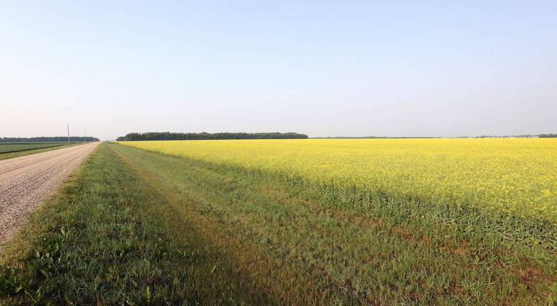 加拿大惊传小飞机「空中相撞」！2名飞行学员罹难