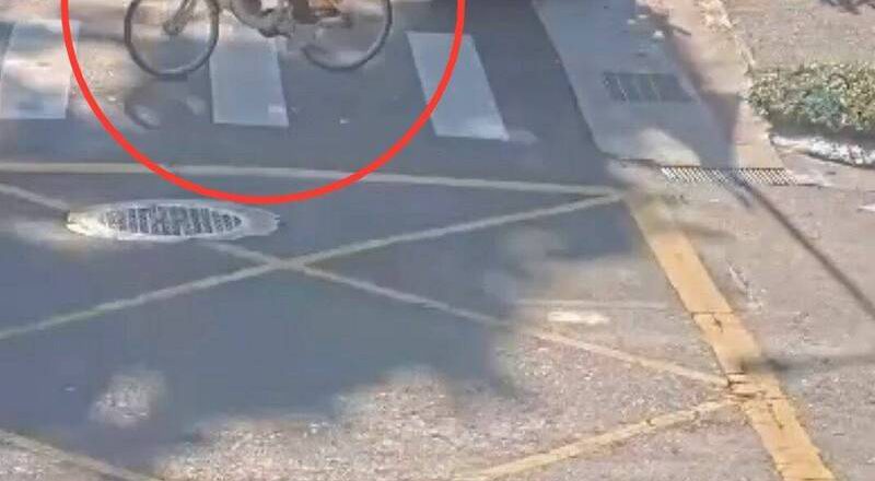 太歲爺頭上動土  刺青男法院偷YouBike被逮