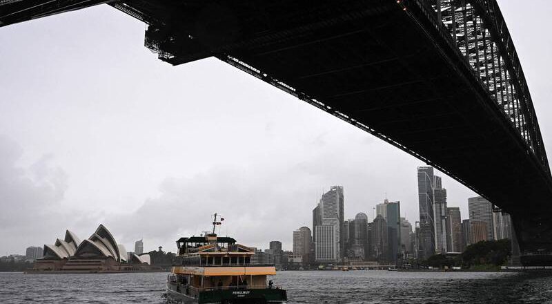 「巨型客人」现身雪梨港观光! 海事单位忙翻天