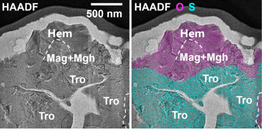 中國科學家首次發現！