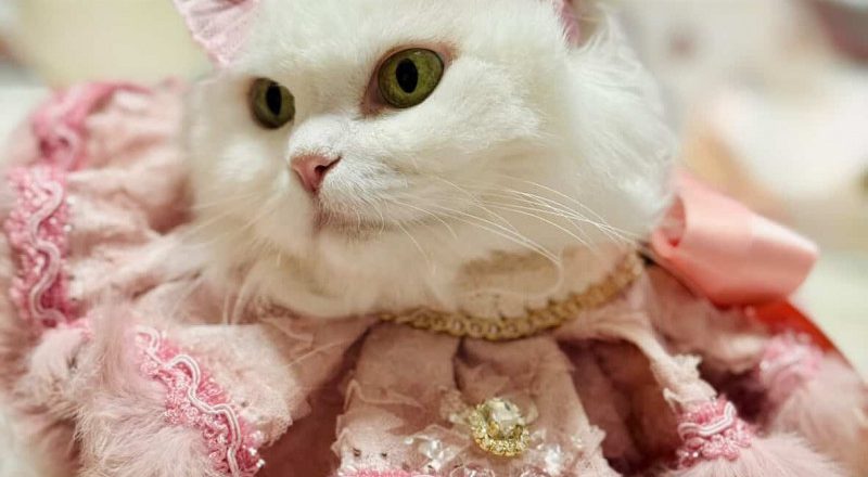 未来涨幅45%！这行业大爆发 可望突破$5000亿