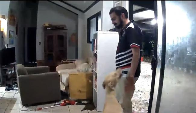 狗狗開門讓牛馬都進屋開party 主人回家後傻了…