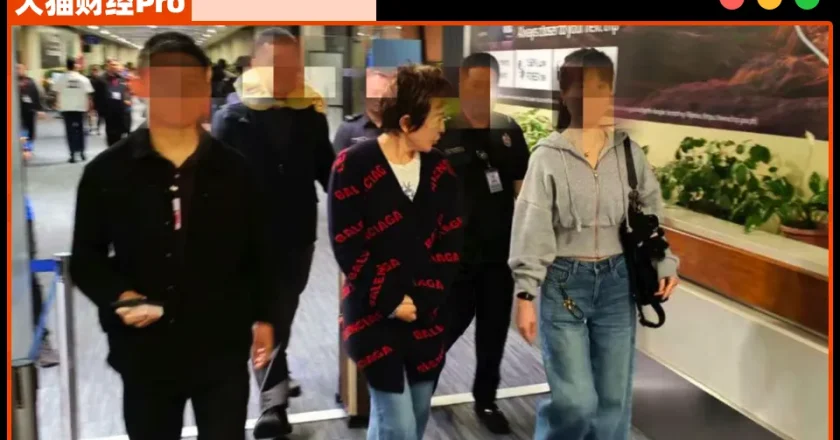 首富夫妻：一個暴力抗法，一個捲走10億被抓