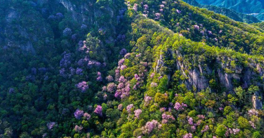 年仅28岁   高中女教师新婚当天坠楼身亡