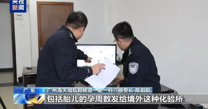 超10万人份孕妇血样被走私出境，详情公布